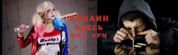 дурь Ладушкин