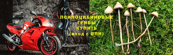 метадон Кирсанов