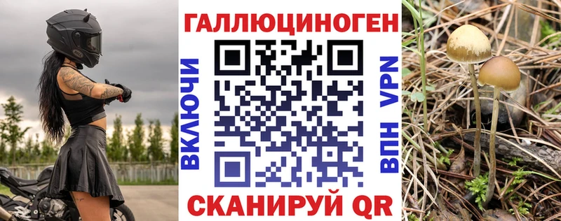 Галлюциногенные грибы Psilocybe  omg зеркало  Меленки 